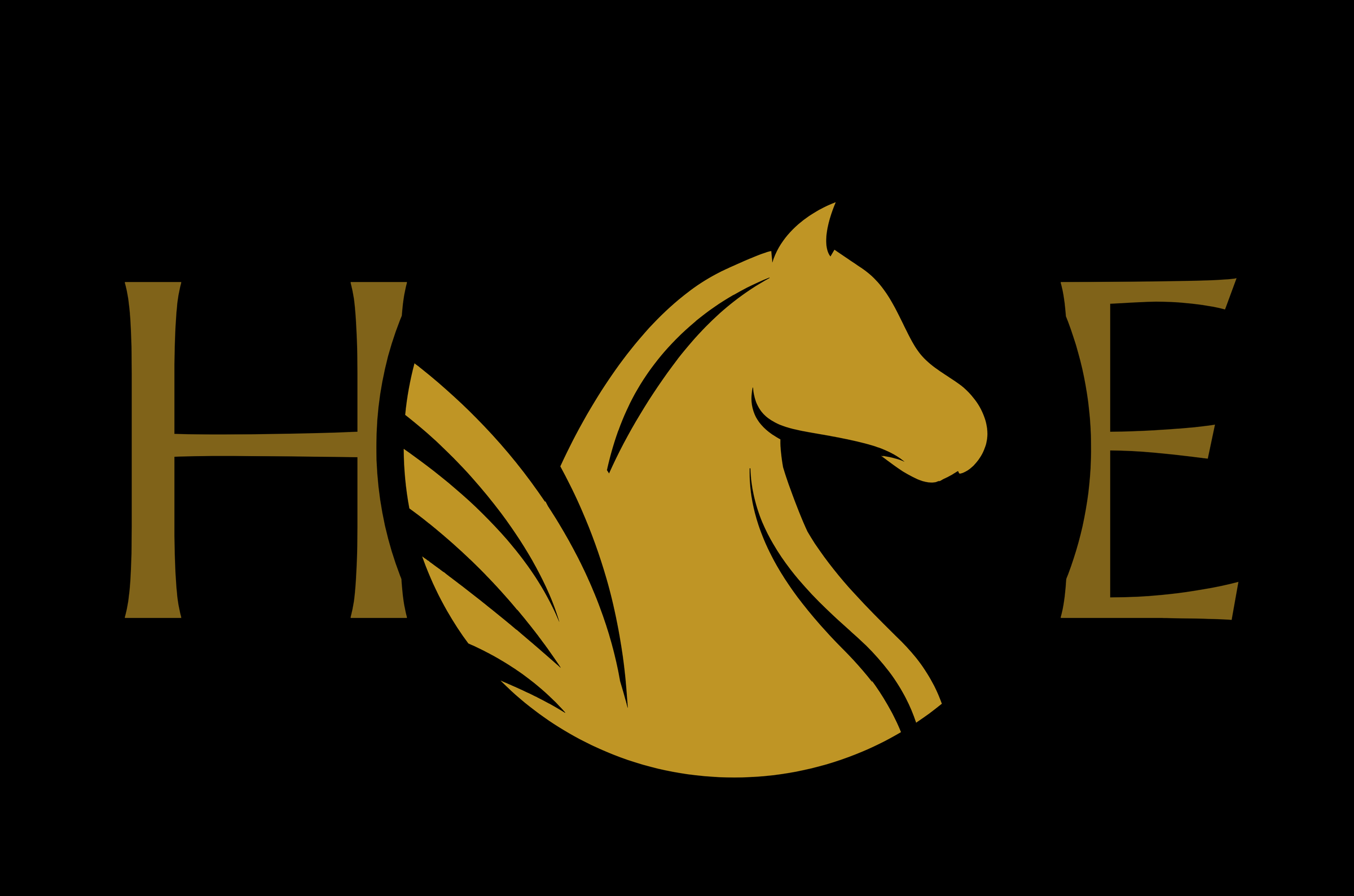 Tack Store and Equine Services Hartley Equine